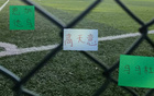 今年中超各队北京国安元素多 但出彩只有申花高天意 重庆恩加德乌
