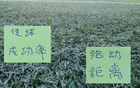 第21轮卫冕冠军传球成功率榜排第二