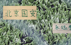 带领球队14场不败后 蒙哥马利是近几年最适合北京国安主帅吗