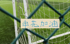 安东尼奥说申花队长是中国莫德里奇 斯卢茨基曾说申花两名后卫都比俄罗斯中卫强